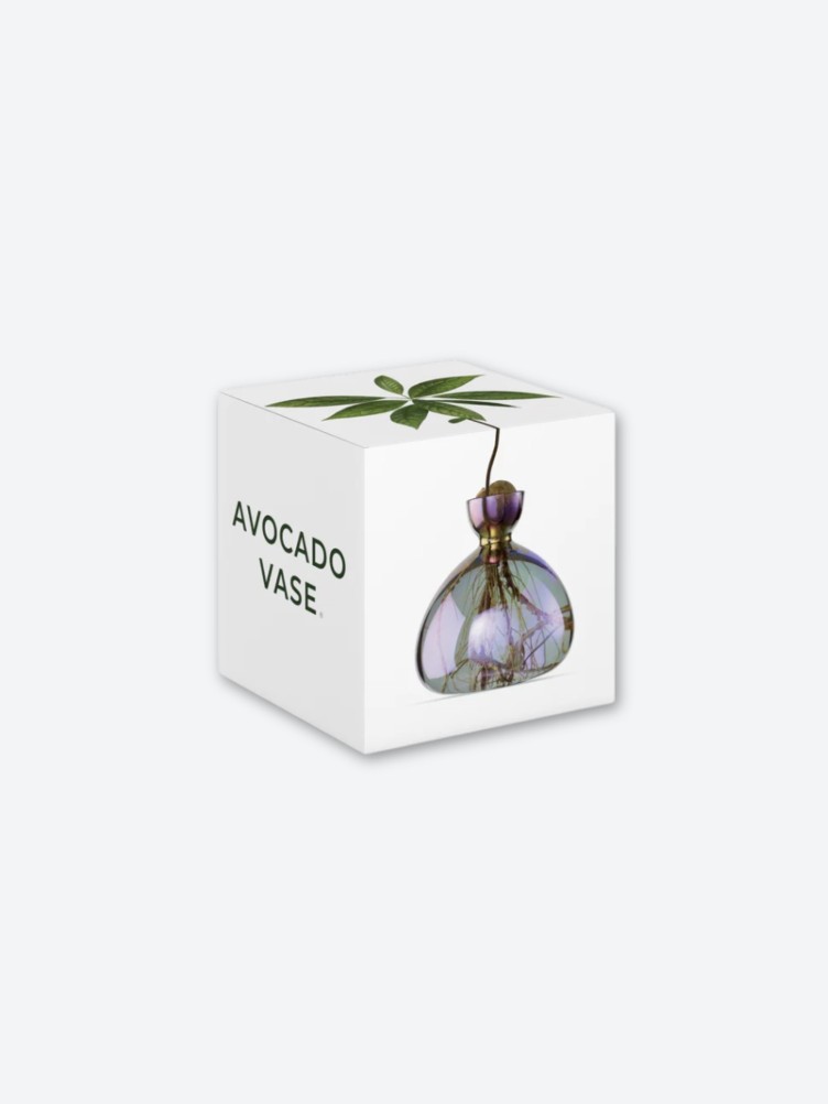 AVOCADO VASE