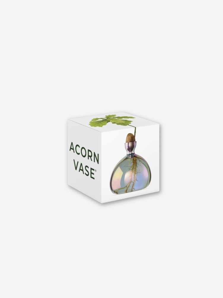 ACORN VASE