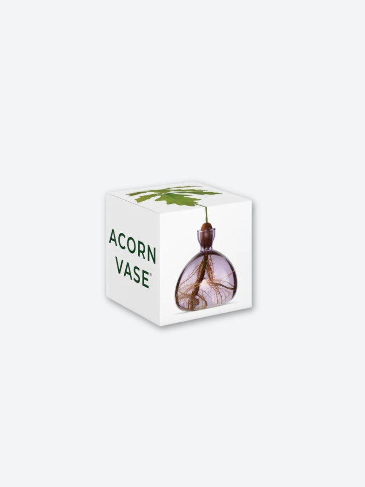 ACORN VASE