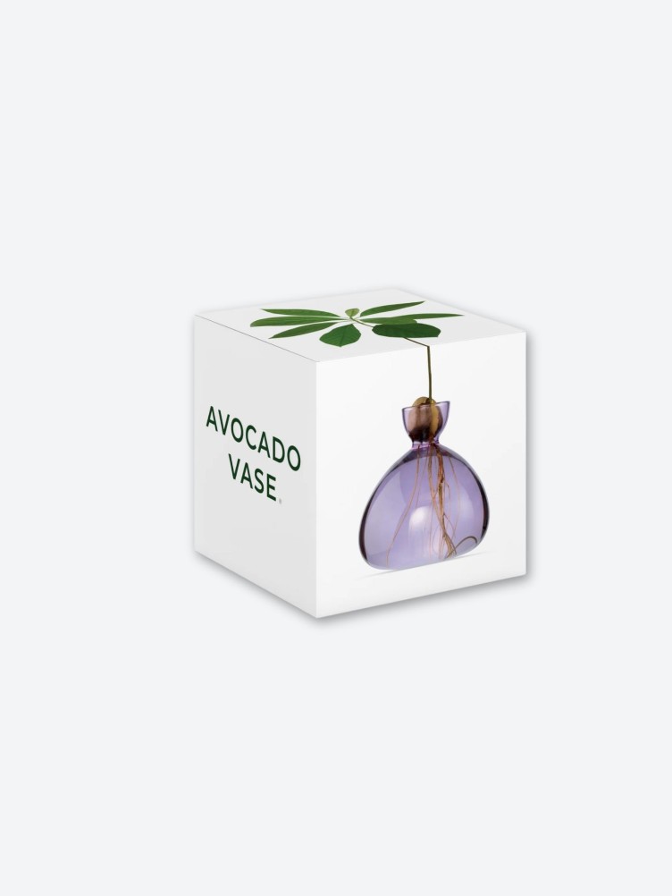 VASE AVOCAT