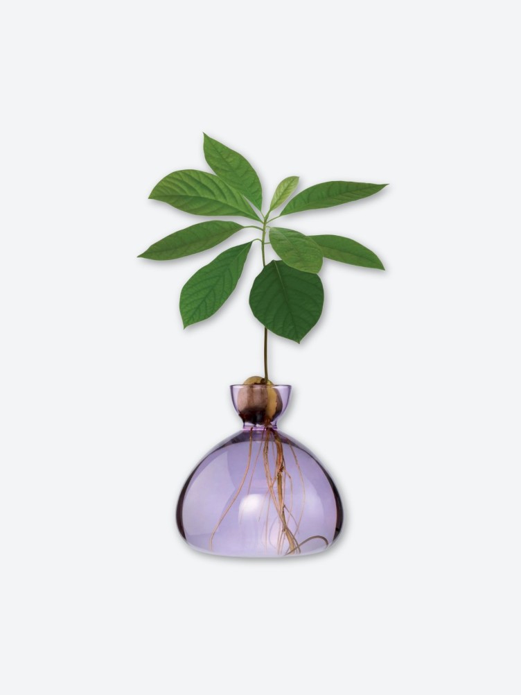 AVOCADO VASE
