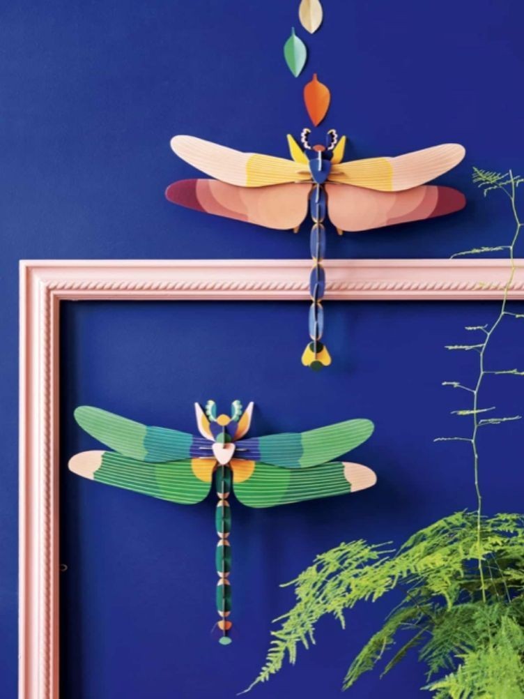 GIANT DRAGONFLY