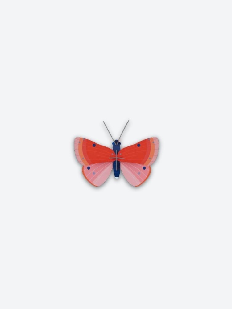 PINK BUTTERFLY