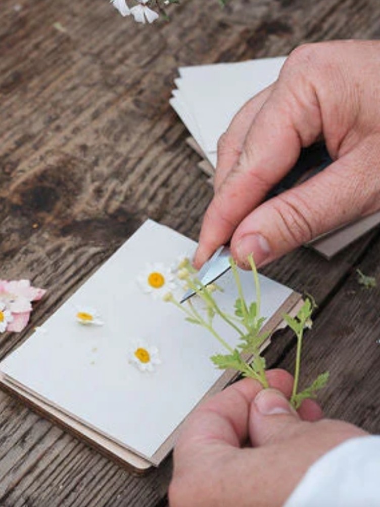 POCKET FLOWER PRESS