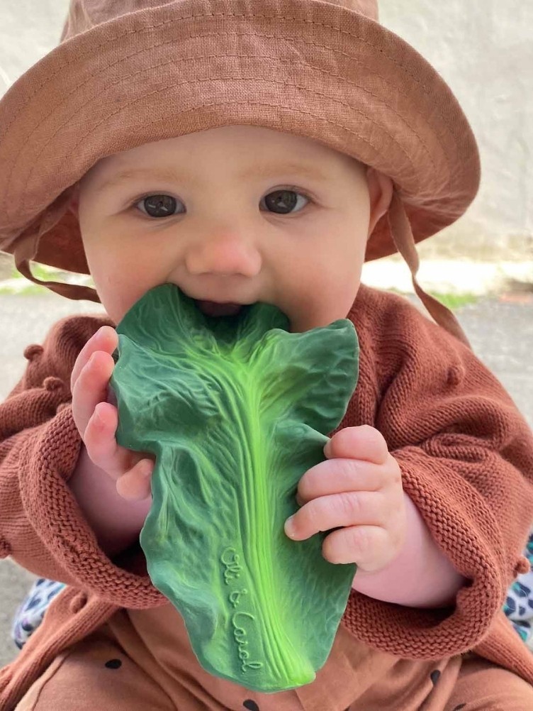 KENDALL TEETHER