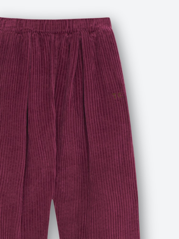 HOSE AUS CORD