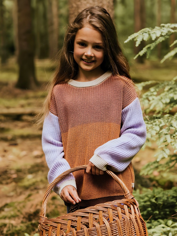 COLORBLOCK JUMPER IN LILAC
